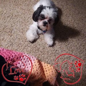 Meet your Posher, Sharon